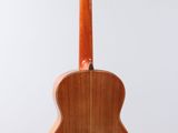 a close up of an acoustic guitar hanging from a string