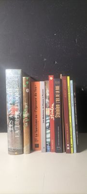 beaucoup de livres sur une étagère