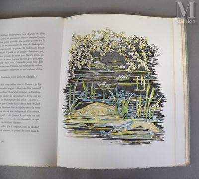 un livre ouvert sur lequel figure l'image d'une grenouille dans l'eau