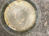a close up of a glass of beer on a table