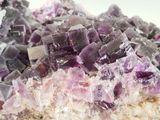 purple and white crystals on a white plate on a table
