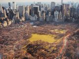 aerial view of central park in new york city with skyscrapers in the background