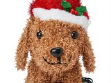 brown dog with red and green christmas hat sitting on a white surface