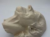 a white sculpture of a dog head on a table
