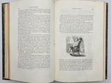 an open book with a picture of a man and a dog