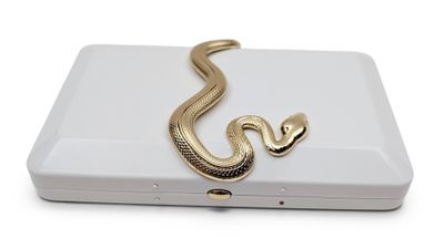 un serpent perché sur une boîte blanche