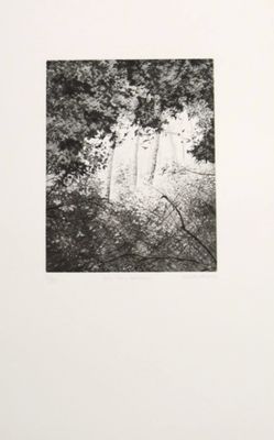 une image représentant une photo en noir et blanc d'une cascade