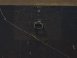 a ring that is sitting on a piece of wood