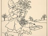 Photo 1/2 du lot