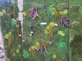 a room with a wall covered in fake grass and plants