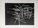 black and white photograph of a bunch of sticks on a table