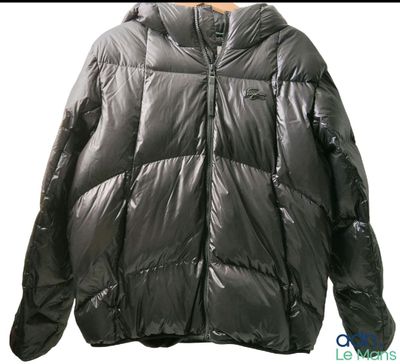 an image of a black down jacket with a hood on it