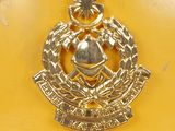 an image of a badge on the side of a yellow fire hydrant