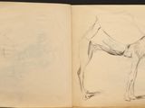 an open book with a drawing of a camel on it ' s cover