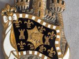 an image of a gold and black badge with a castle on it