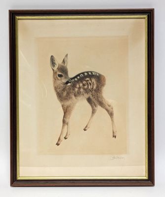 an old picture of a fawn standing in front of a white wall