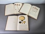 quatre livres ouverts, sur lesquels figurent différents types de champignons, posés sur une table