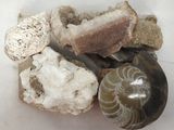 many different types of rocks and stones on the table