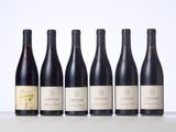 six bottles of red wine lined up in a row