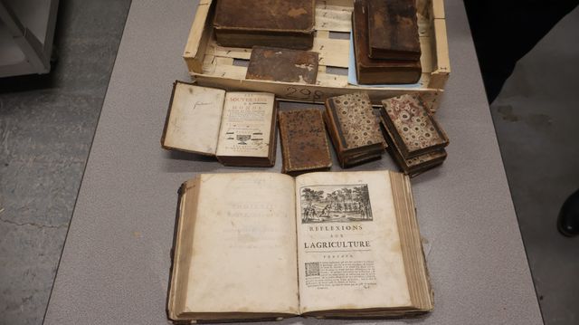Lot de livres XVIIIème (agriculture en mauvais état)