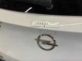 a close up of a badge on the back of a car