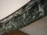 a close up of a surfboard that is on the ground