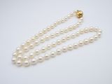 a close up of a white pearl necklace on a white surface