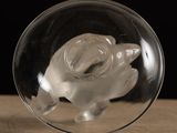 a clear glass object with a small animal inside of it