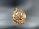 Gros plan sur une bague en or ornée de diamants