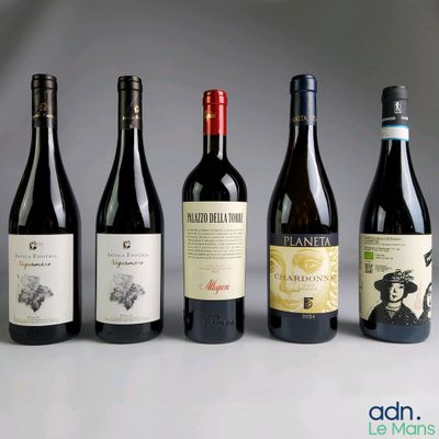 plusieurs bouteilles de vin sont alignées sur une table