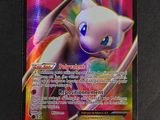 une image d'une carte Pokémon sur laquelle figure un chat