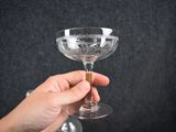 a person holding a wine glass in their hand
