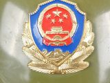 a badge on the back of a green car