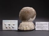 une sculpture en pierre représentant un oiseau sur lequel est posé un bout de papier