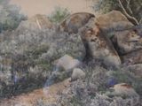 a picture of a painting of some rocks and trees