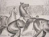 a drawing of two men riding horses in a ring
