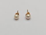a pair of pearl earrings on a white background