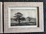 une photo d'une photo d'un arbre dans un cadre photo