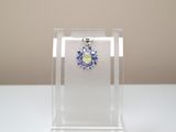 a clear display case with a blue and yellow flower on it