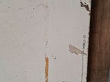 Photo 2/4 du lot