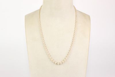 gros plan d'un torse de mannequin portant un collier