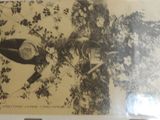 a black and white photo of a motorcycle parked in a tree