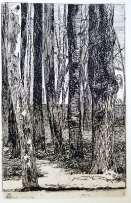 une image représentant un dessin d'une forêt avec des arbres au premier plan