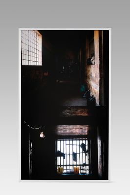 an image of a black and white photo of a window in a building