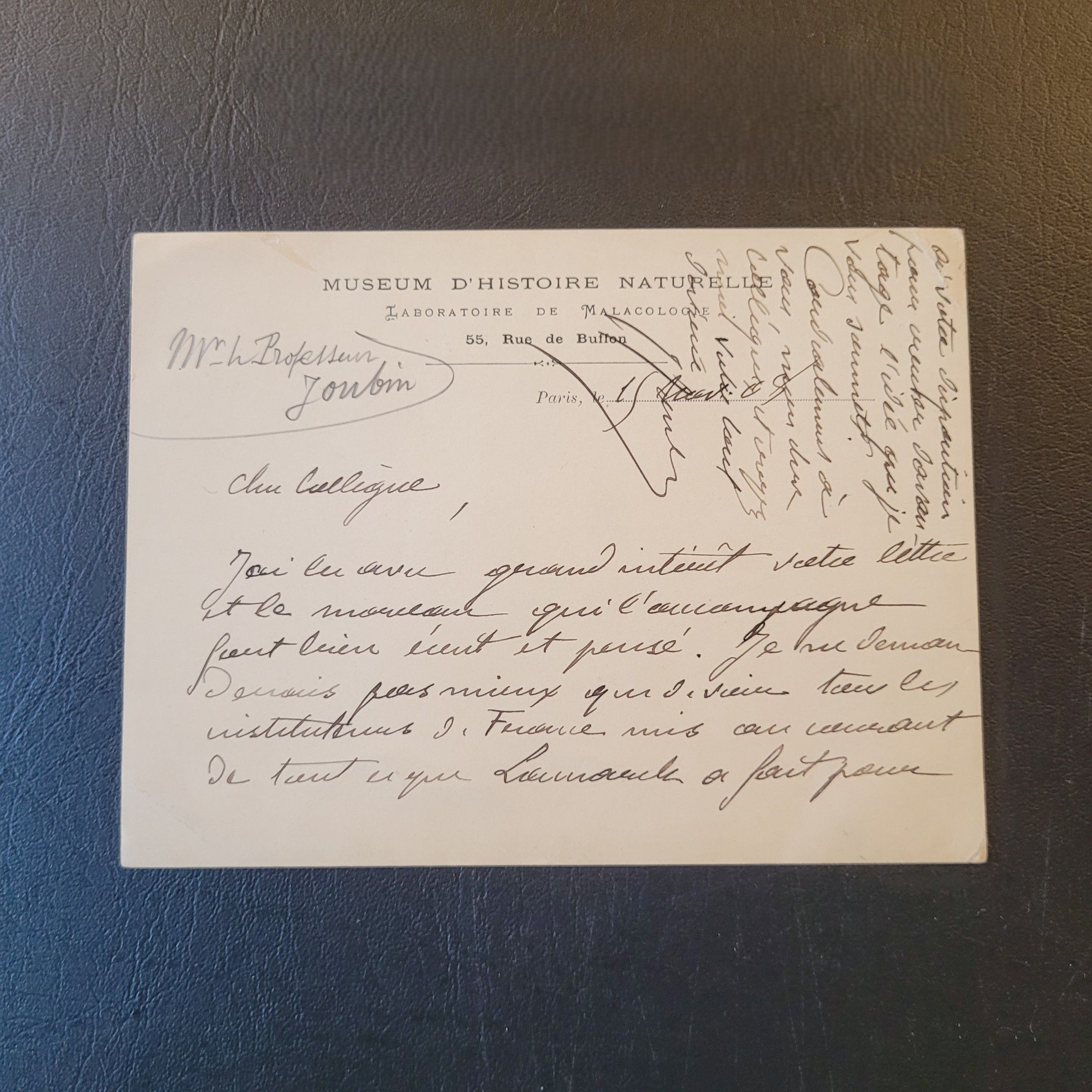 Objets d'art & Curiosités