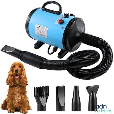 un chien assis à côté d'un sèche-cheveux
