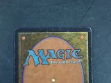 an image of a magic the gathering card game