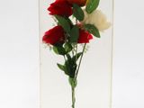 a picture of a flower in a clear box