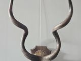 a wall mounted antelope that is hanging on the wall