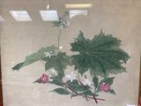 a picture of a picture of a plant in a glass case